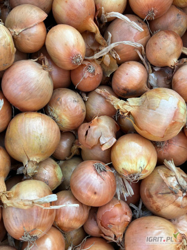 Cebula ECO żółta na obieranie, 60%6+, import, certyfikat, dostawa do klienta. 