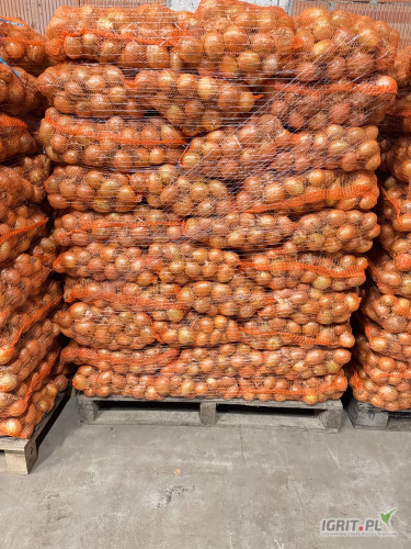Sprzedam cebulę z siewu kal. 5+  ilości tirowe i busowe luz/ big bag/ worek 15kg wiązany.