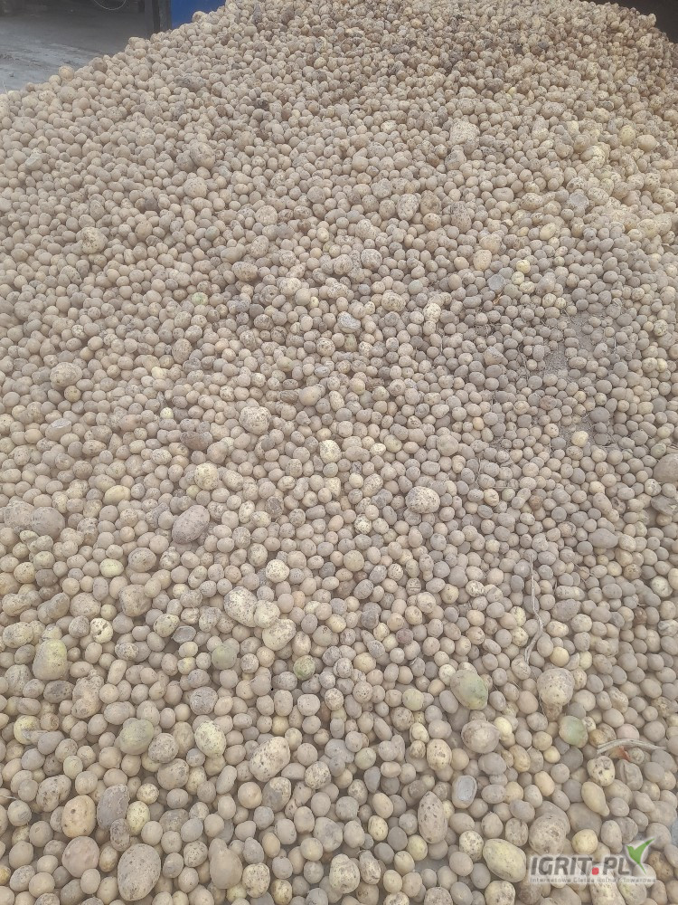 Witam mam do sprzedania ziemniak paszowy drobny odsort z jadalnych duże ilości 695550476