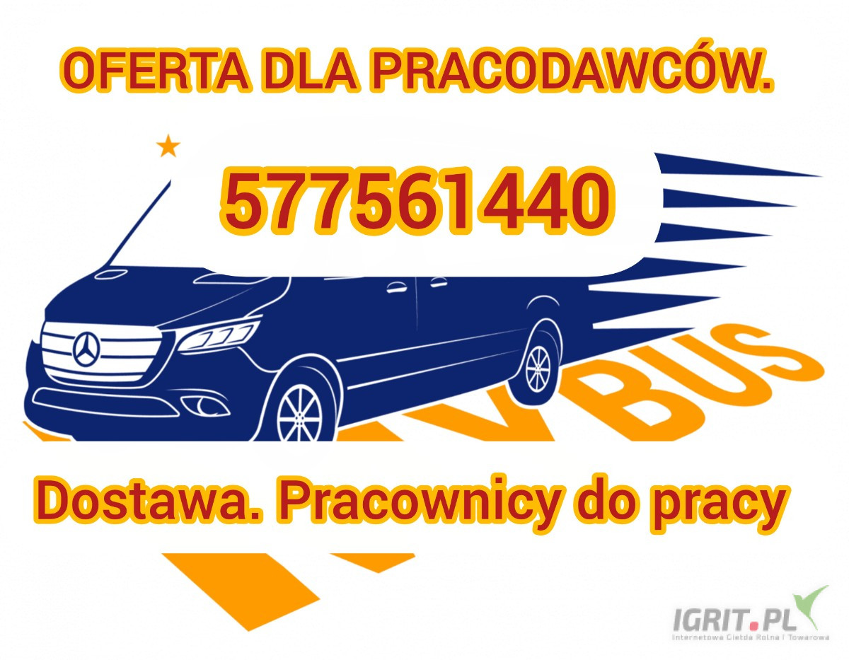 Dostawa. Pracownicy do pracy. 