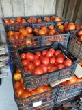 Sprzedam warzywa, pomidory, ogórki, ziemniaki, cebulę.