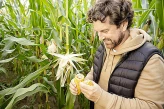 Sprawdź 2023 – trudny rok dla producentów kukurydzy w księgarni igrit