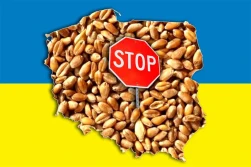 Jest rozporządzenie w sprawie zakazu wwozu produktów ukraińskich do Polski