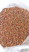 Oilseed radish (rzodkiew oleista) 2023 harvest. Purity 98%, conventional, non-GMO. Delivery terms: FCA Naberezhnye Chelny, Russia. DAP....