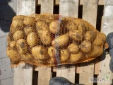 Sprzedam pieknego ziemniaka odmiany Soraya kal. 5+. Towar gruby szykowany pod zamówienie ilości tirowe i mniejsze. Zapraszam