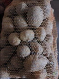 Sprzedam ziemniaki SORAYA 250 worków/15kg. Ładne, ręcznie przebierane. Kalibraż +45mm. 17 zł/15kg. Możliwość załadunku na paletach...