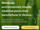 Sprzedaż hurtowa roślin leczniczych od producenta w najlepszych cenach 
