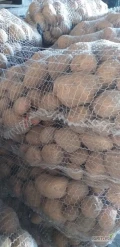Sprzedam ziemniaki odmiany Irga w workach po 15 kg w ilości 240 worków 