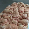 Oferujemy mrożone filety z piersi z kurczaka - bez skóry, bez GMO - halal.