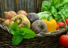 IJHARS zbadał jakość handlową świeżych owoców, warzywi ziemniaków