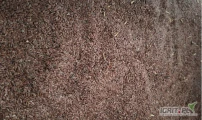 We offer brown flaxseed for bird or animal feed, 16 tons