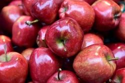 Duże zapasy jabłek w Polsce, ale mniejsze niż przed rokiem