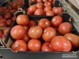 Pomidor malinowy 2 klasa oraz ogorek wiecej info pod num tel