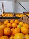 Sprzedam 15 ton fajnego pomarancza w dobrej cenie ....kal 3 i 4