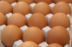 Ukraina wprowadziła zakaz importu drobiu i jaj z Polski