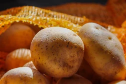 Nieodpowiednio oznakowane prawie 30% ziemniaków w handlu