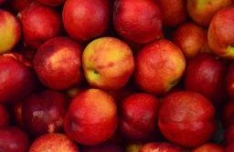 PKO BP: mniejsza podaż jabłek szansą na lepsze ceny