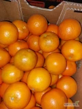 SPRZEDAM świeże mandarynki, klasa II. Kraj pochodzenia: Egipt. Owoce pakowany w kartony po 10 kg - gotowe do szybkiej wysyłki, łatwe w...