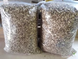 Arcydzięgiel nasiona 2023r 300kg końcówka towaru nasiona do siewu lub techniczne cena do uzgodnienia 