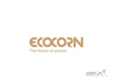 Eco-Corn z zakładem produkcyjnym w Przykonie (62-731) prowadzi całoroczny skup ziemniaka, w tym drugiej kategorii.Każda odmiana, każde...
