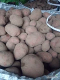 Sprzedam 17 big beg po 1200 kg ziemniaki Bella rosa kaliber od 5 zdrowe świeżo robione