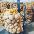 Sprzedam 40 woreczków ziemniaków jadalnych, smaczne nie robią się ciemne po ugotowaniu, uprawiane na oborniku tel 507926421