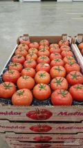 Sprzedam pomidor malinowy import, pakowany w wytłaczankę 7 kg, kaliber G lub GG. 100 % jakości. Stałe dostawy 2x w tyg.