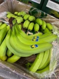 Banany premium Ekwador na zielono lub po gazowaniu. Dostępne ilości samochodowe