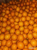 Sprzedam pomarancz sokowy z  Egiptu w skrzyniach , rozmiary 72/80/88 . Towar w PL , dostępne 2 samochody.