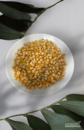 Oferuję wysokiej jakości ziarna kukurydzy dedykowane do przygotowania popcornu, które zapewnią Ci doskonałe doświadczenie smakowe i...