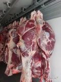 Ubojnia Euromeat oferuje sprzedaż ćwierci wołowych w klasach EUROP 
