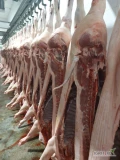 Ubojnia Euromeat oferuje usługę uboju bydła oraz trzody chlewnej. Zapewniamy transport żywca oraz półtusz i ćwierci 