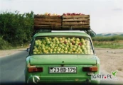 Zajmuję się skupem jabłek przemysłowych ze starych przydomowych sadów na terenie woj. podlaskiego. Towar jest ekologiczny nie pryskany...