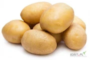 Kupię ziemniaki jadalne odmiany Colomba Queen Anna. Kaliber 4,5-7,5. Ilości tirowe. Regularne odbiory 2 razy  w tygodniu. Worek 15  kg...