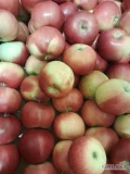Sprzedam drobne jabłka w kartony - 1,2 zł/kg