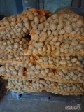 Sprzedam ziemniaki paszowe ok. 1,5t zdrowe bez zanieczyszczeń opakowanie 25kg