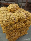 Sprzedam ziemniaki jadalne Soraya towar gruby I z jasnej ziemi. Więcej informacji pod nr tel 697631392