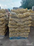 Na sprzedaż ziemniaki odmiana Soraya przygotowane okolo 7 ton i bellarosa okolo 3 ton Do kopania jeszcze 17...