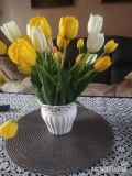 Zapraszam do zakupu tulipanów,kolor bialy