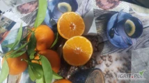 Oferujemy bezpośrednie dostawy owoców cytrusowych i warzyw (mandarynka, klementynka, cytryna, pomarańcza, kapusta sałata itp. import z...
