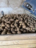 Sprzedam ziemniaki odmiany Soraya, kaliber +5, około 200 ton, luzem lub w big bagach lub worek szyty 15 kg, cena 2 zł/kg, zainteresowanych...