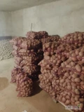 Sprzedam ziemniaki Belarosa 45+.ok200 worków cena za 15 kg 16 zł.Mozliwy dowóz jednorazowo 100 worków.Cena do negocjacji.