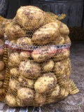 Nakopie na jutro 300 -400 worków ziemniaków riwiera towar jak na zdjeciu cena 32 zł worek