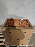 Sprzedam ziemniaki odmiany Gala, opakowanie 2,5kg, kaliber 45+.Serdecznie zapraszam do kontaktu: Tel.: 728-271-863