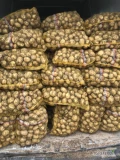 Sprzedam 280 worków ziemniaków riwiera towar jak na zdj. Oraz lulkę