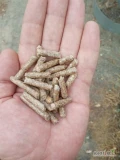 pellet opałowy z drewna SOSNOWEGO.w workach 15 kg lub big bagach 1 tona,minimalne zamówienie 22 tonycena może się różnić w...