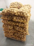 Ukopie na zamówienie ziemniaki jadalne Soraya, Riviera, towar z jasnej ziemi. Więcej informacji pod nr tel 697631392