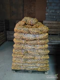 Sprzedam ziemniaki drobne odmiana denar wielkość sadzeniaka ilość 4 tony 