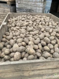 Sprzedam ziemniaki odmiany Soraya, kaliber 5+, 300 ton, cena 1,4 zł/ kg luz big-bag, zainteresowanych zapraszam do kontaktu pod numerem:...
