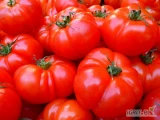 Sprzedam tłoczony na zimno koncentrat pomidorowy 36-38% i 30-32%.
